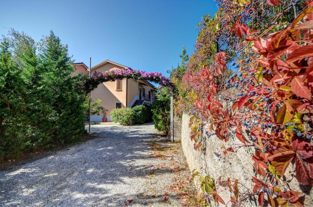 Residence Villa Andrea Marina di Camerota Exterior photo